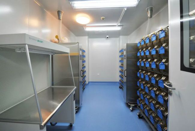 實(shí)景圖展示