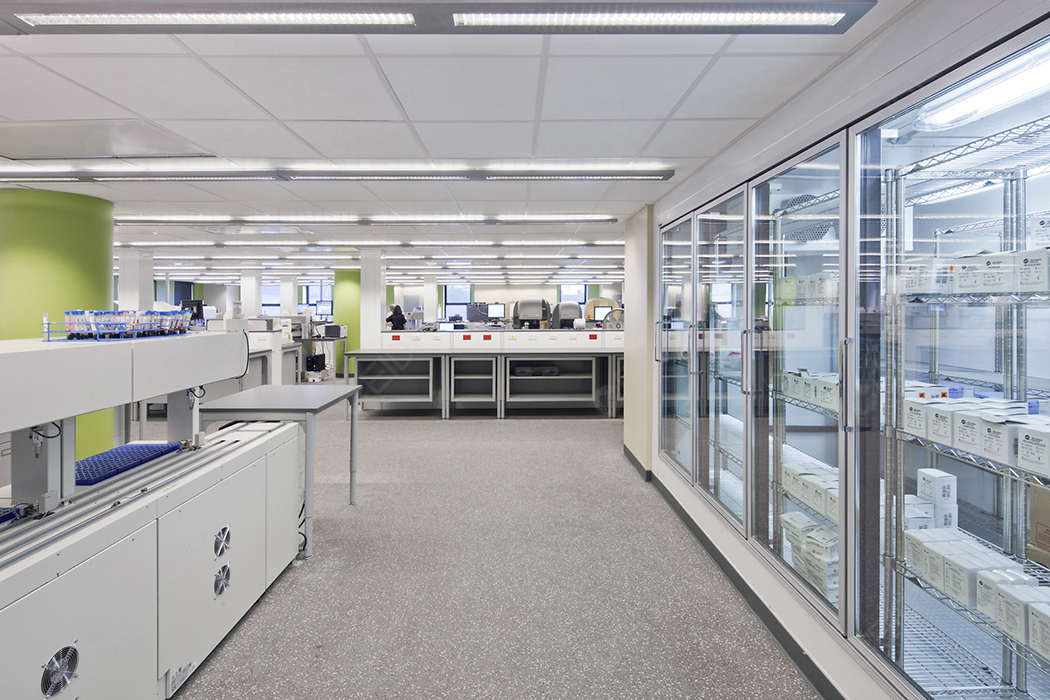 實驗室建設(shè)